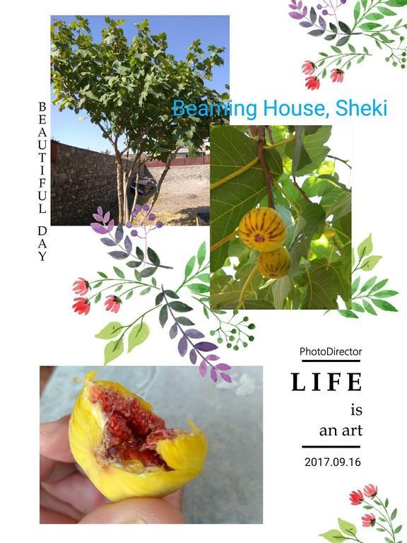 Beaming_House Hotel Şǝki Eksteriør billede